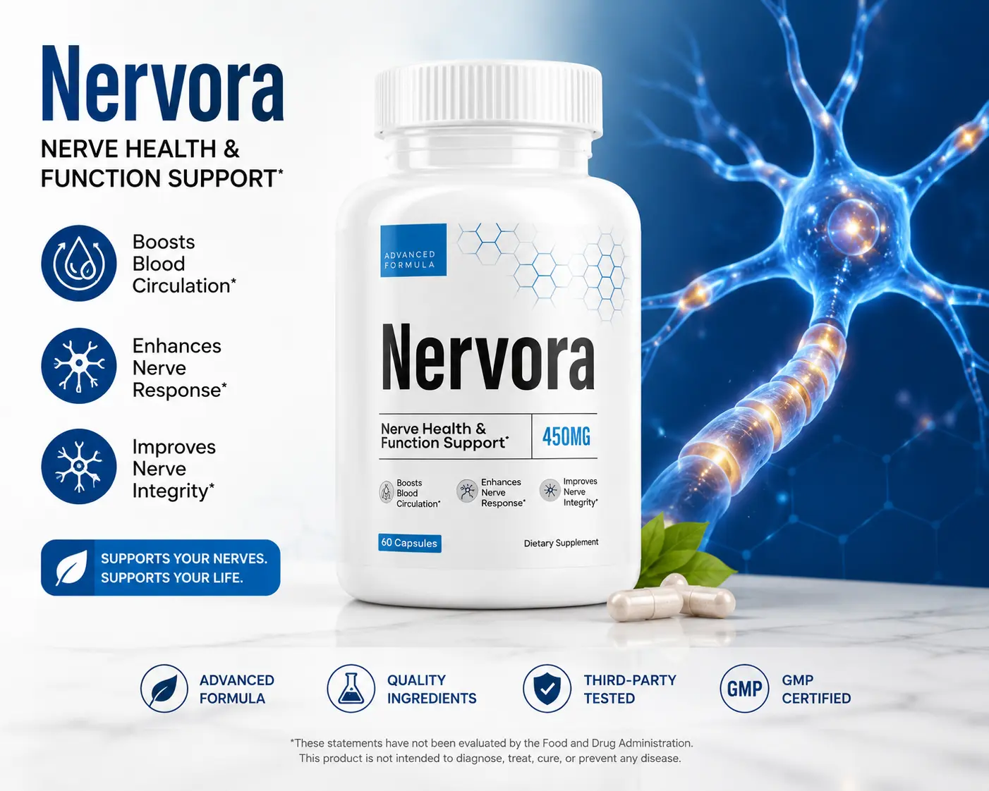 Nervora Digital Media Company